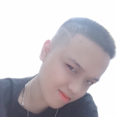 Tùng Dương 29