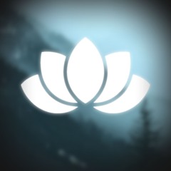 yumbofocus