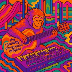 The Monkey Playground Project
