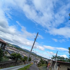 はるき