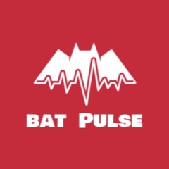 Bat Pulse