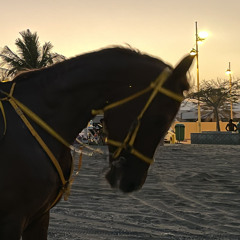 𝑅𝑆𝐻𝑂𝑂𝐷🤦🏻.