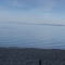 Tr_ owainl321