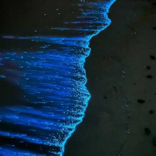 Harga Diriku - Wali (speed up)