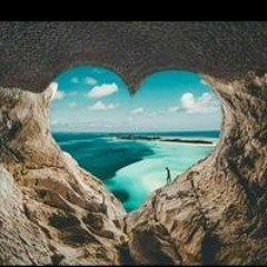 احمد فتحى الشريف الشريف