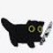 the shankin cat