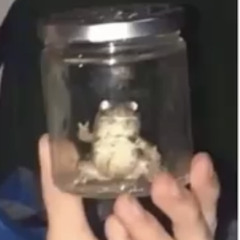 Turtles_R_us