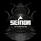 its_seinor