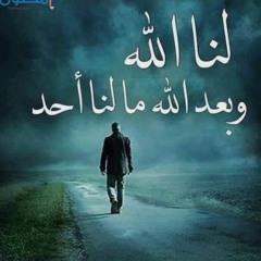 Islam Shehata