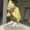 vegas2stunna