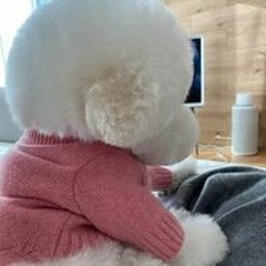 이보현