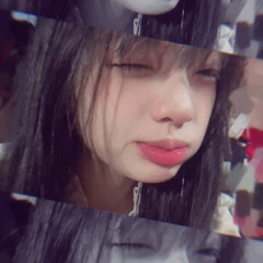 Thỏ💗