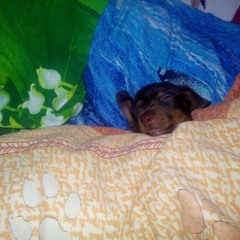 aggressivecoolkid812XddXxdD