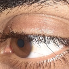 dream_of_the_endless