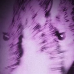 slvmp!