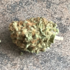 Guillaume Villemagne