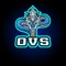 OVS Studio