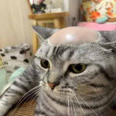 嘻哈盛宴