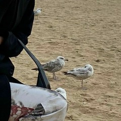 島田しまだすけがわ