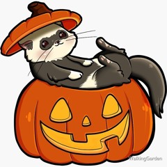 Ferret on acid