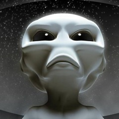 Dan Hayes College Project