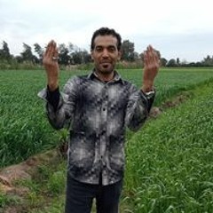 Mohamed Aboelnga Abo Elnaga