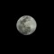moonlitnights