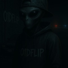 O1DFlip