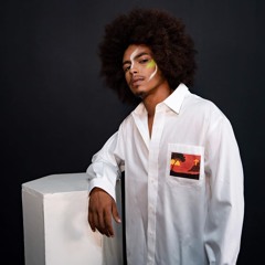 Black Rogue Int'l Corp.