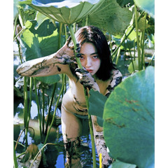 Yanagidaigo.