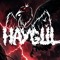 HAYGUL