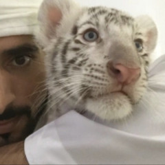 A٣ alràeesi