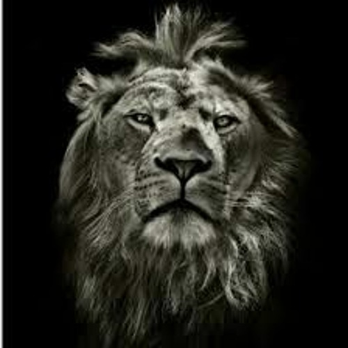 Chapa MC - Menino Enjoado (prod. Dj Gil Castro)