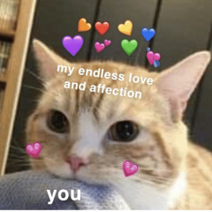 ellaaaaa