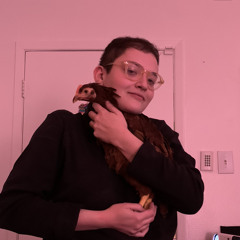 Alex Shenson-Collins