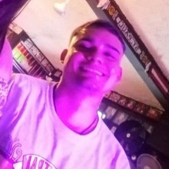 Sebastian Araya Sandoval