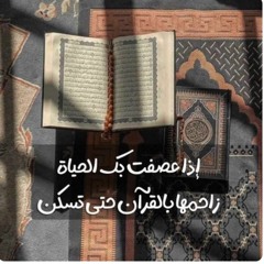 موئه صالح