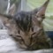 MELVYN