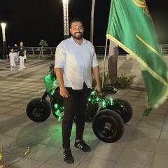 WALID FOUAD ELBALASY