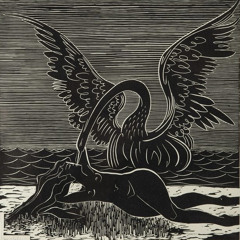 Swan Meer