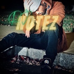 RJNotez
