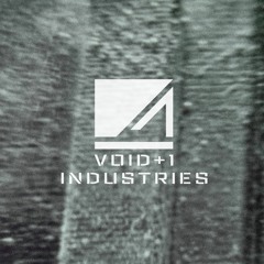 Void+1 Recordings