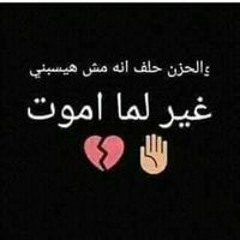 هبه أبو الدهب