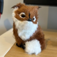 Cover: Heart Shaped Box - Nirvana