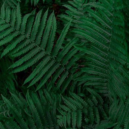 Tech House 4 (concept)