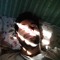 Sohag Noman