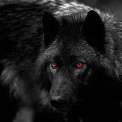 WolfBlack