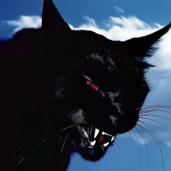 Fran