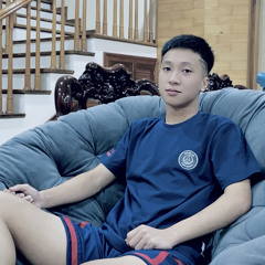 đỗ triệu bảo