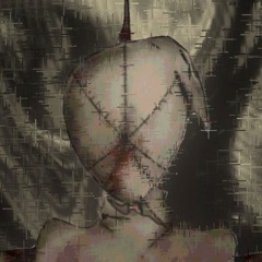 thexperiment